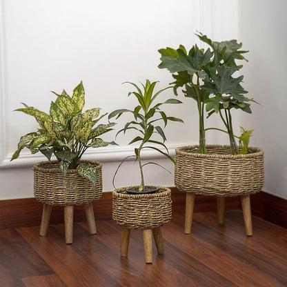 Jute Planters Set Of 3